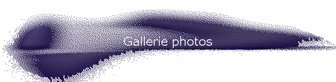Gallerie photos